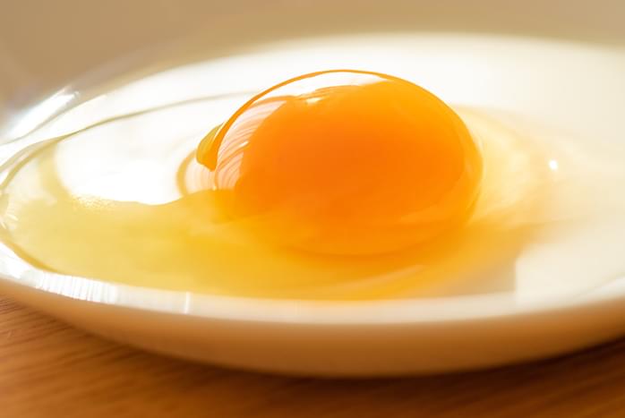 安全・安心な鶏卵を、安定的に消費者の皆様へお届けします。