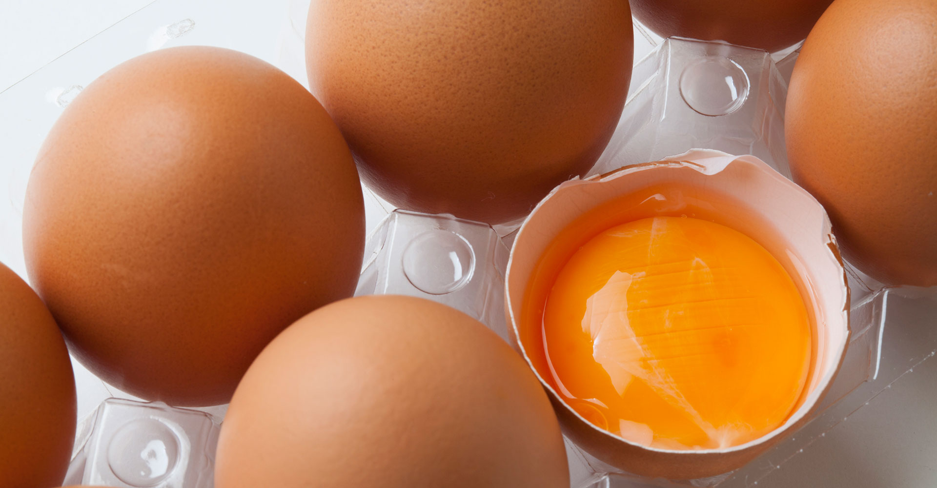 安全でおいしい卵製品を届けするために