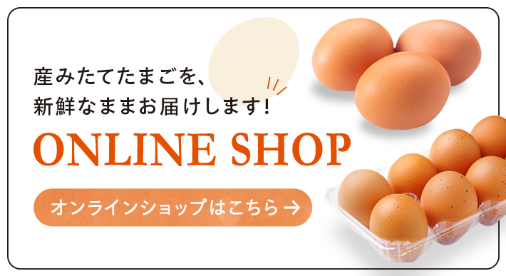 ONLINE SHOP